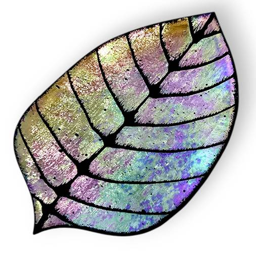 Little Dishes - Artisan Leaf