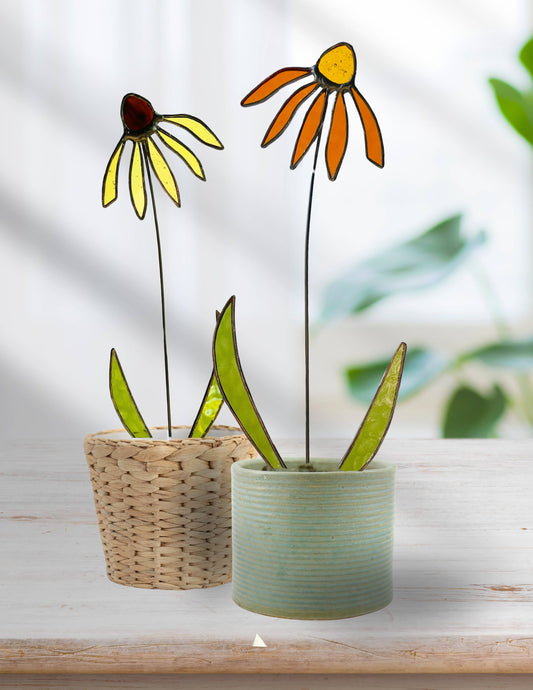 Stained Glass Coneflower/Echinacea Stem