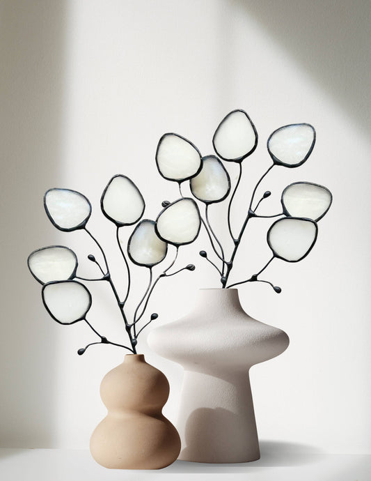Glass Silver Dollar Money Plant
