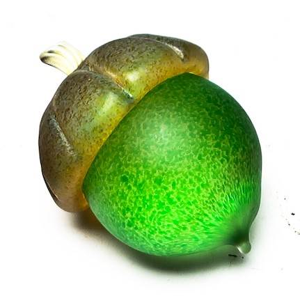 Acorns