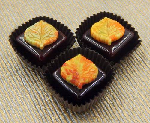 Glass Chocolate Acorns & Aspen