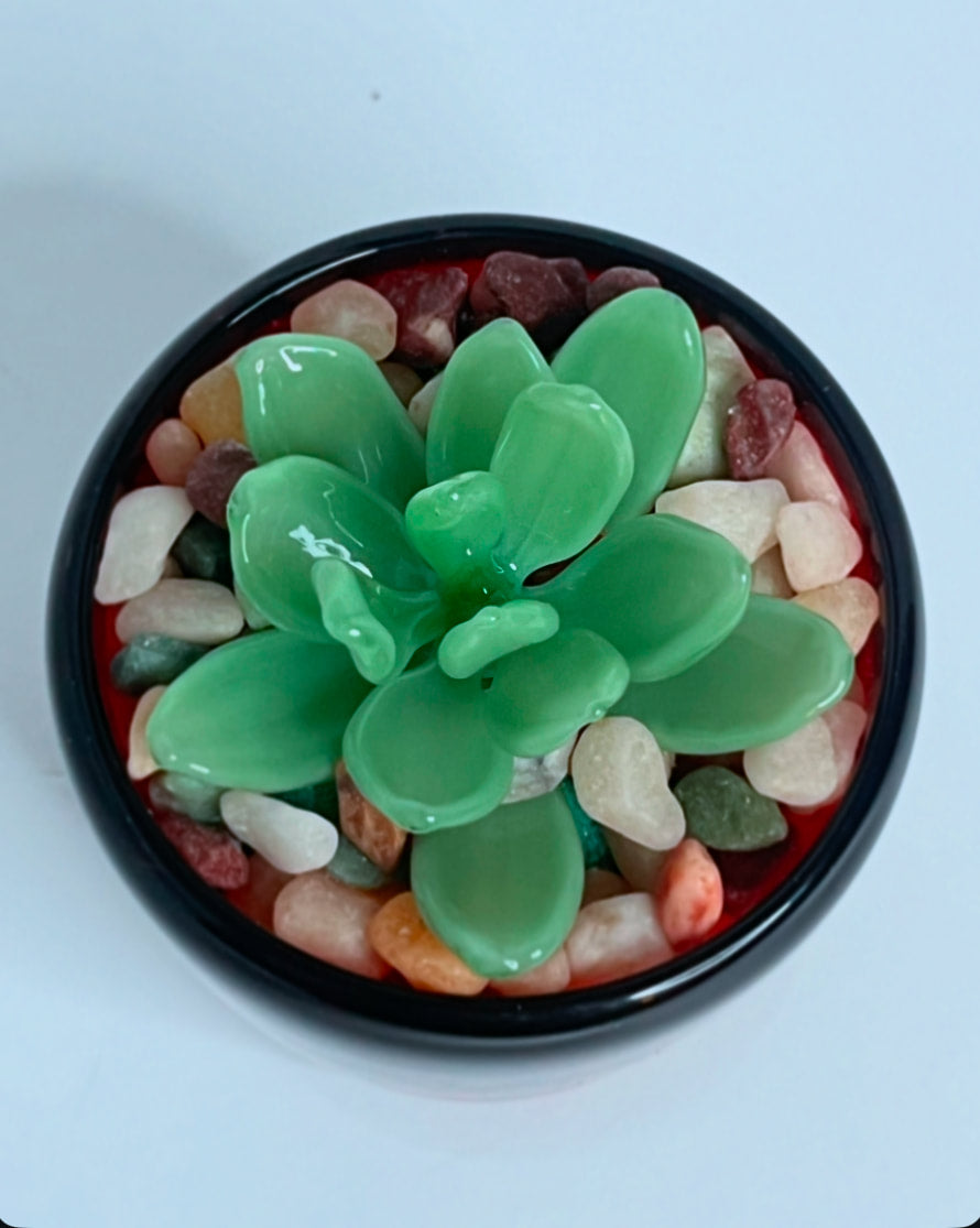 Succulent Sculptures