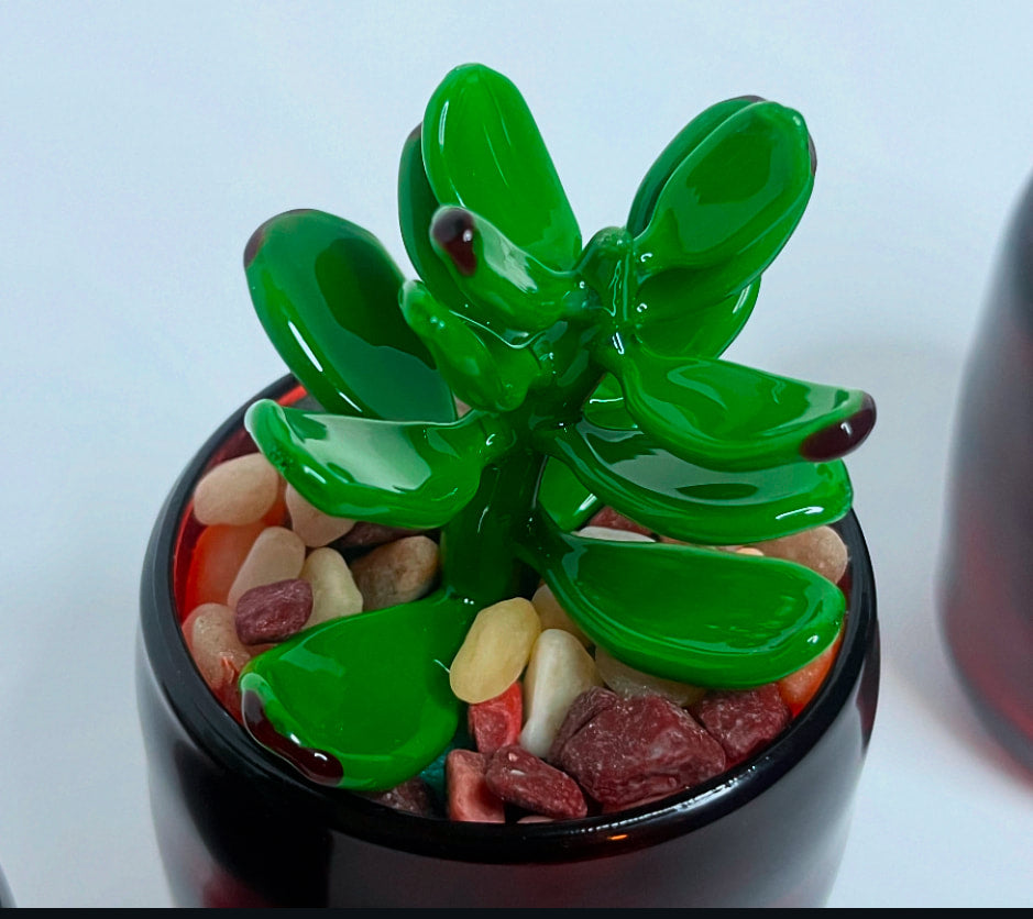 Succulent Sculptures