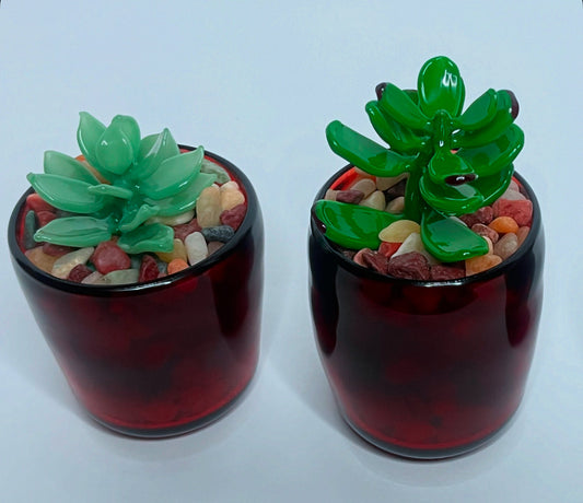 Succulent Sculptures