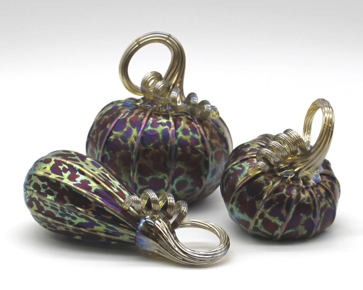 Midnight Pumpkins + Gourds