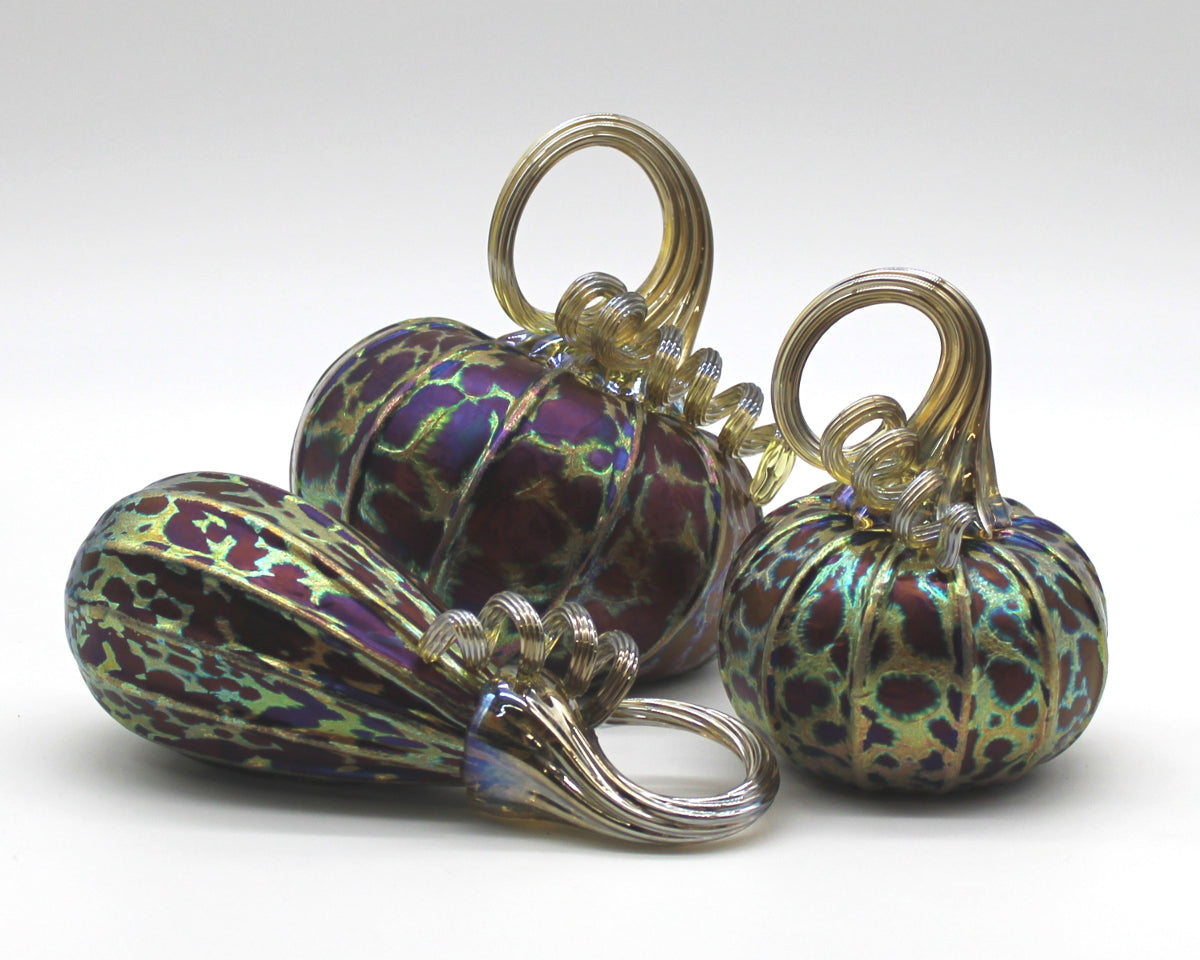 Midnight Pumpkins + Gourds