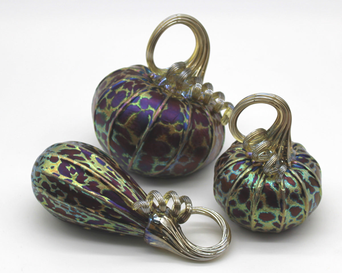 Midnight Pumpkins + Gourds