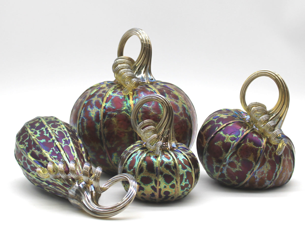 Midnight Pumpkins + Gourds