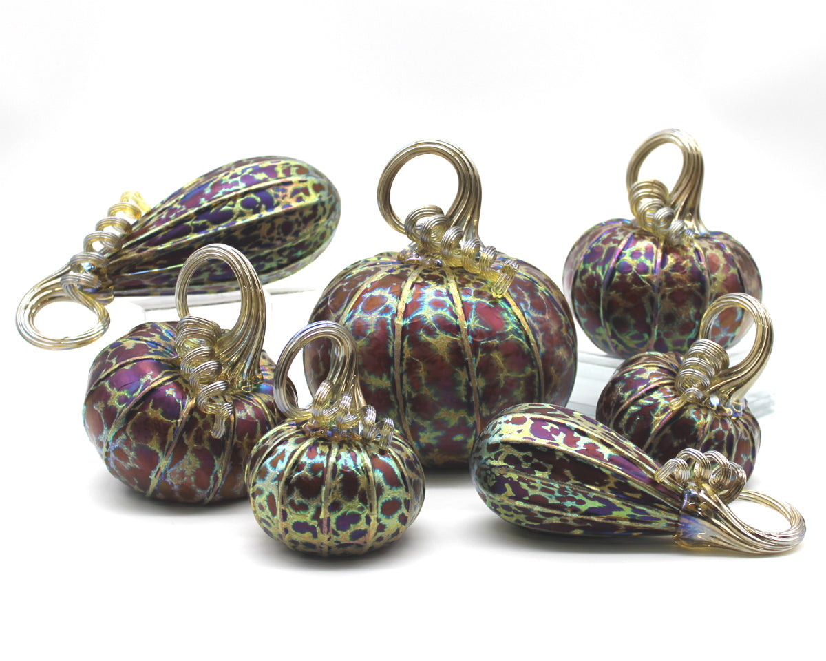 Midnight Pumpkins + Gourds