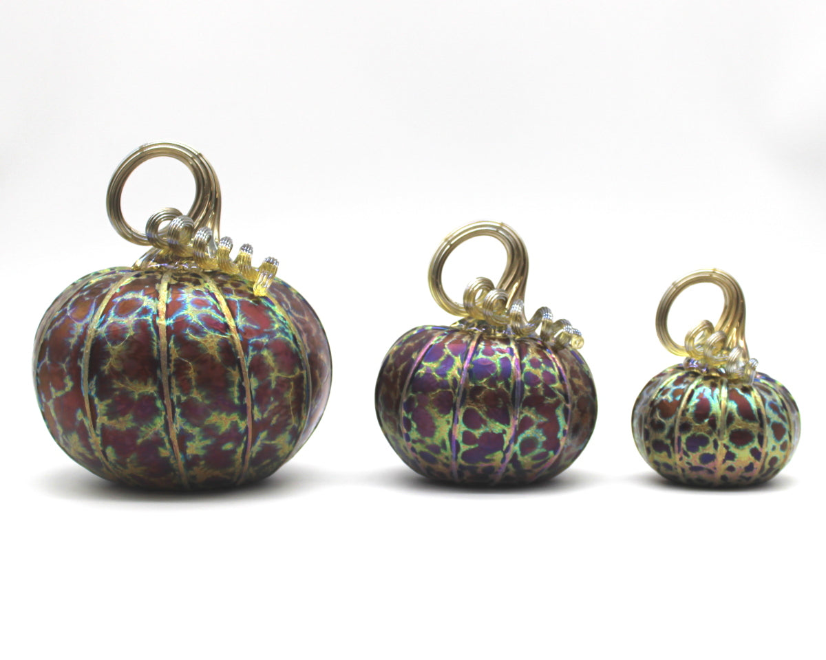 Midnight Pumpkins + Gourds