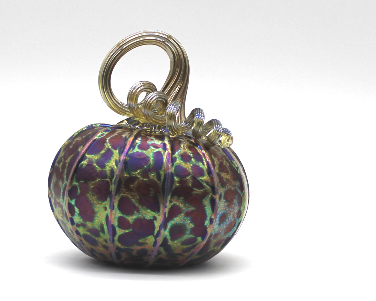 Midnight Pumpkins + Gourds