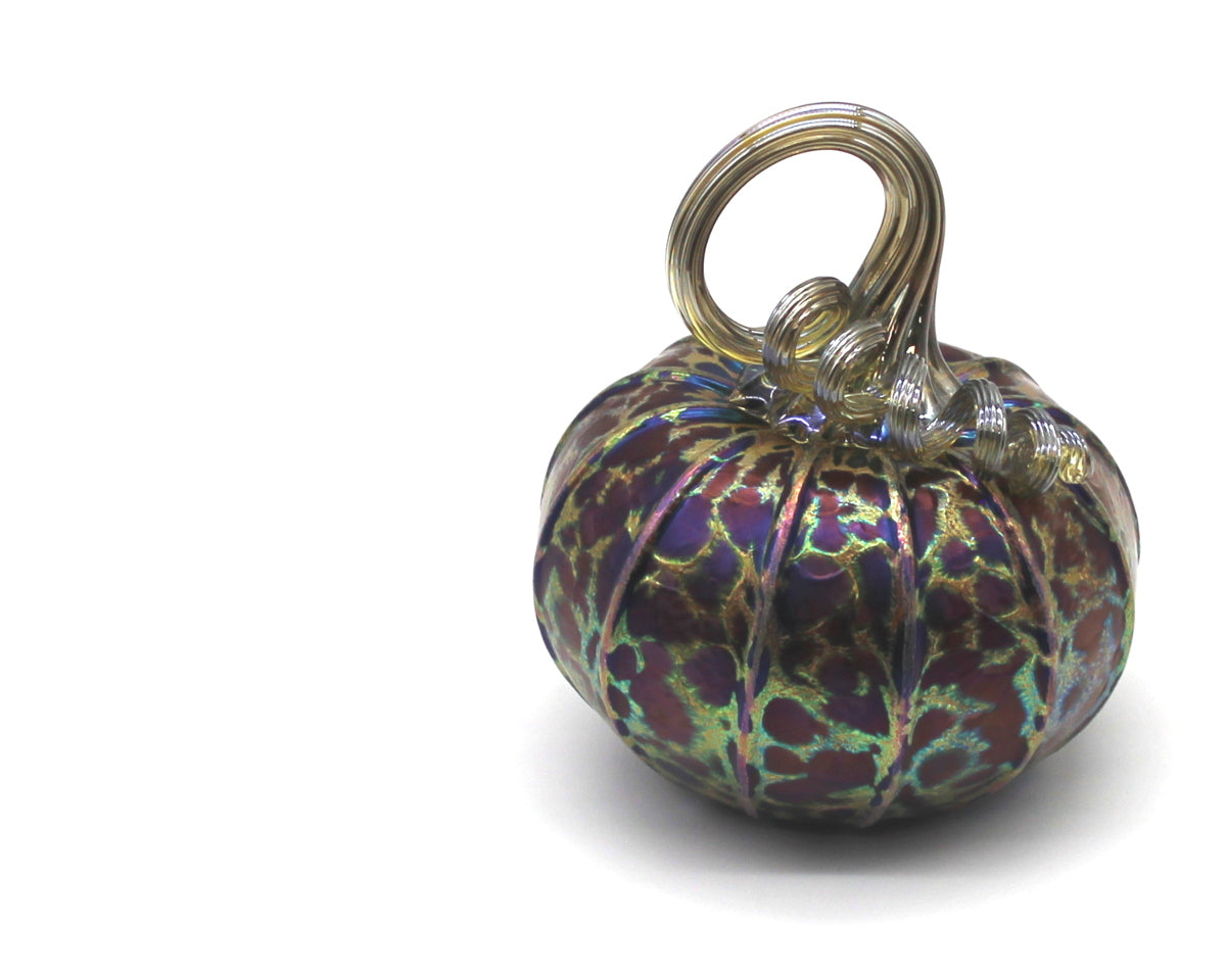 Midnight Pumpkins + Gourds