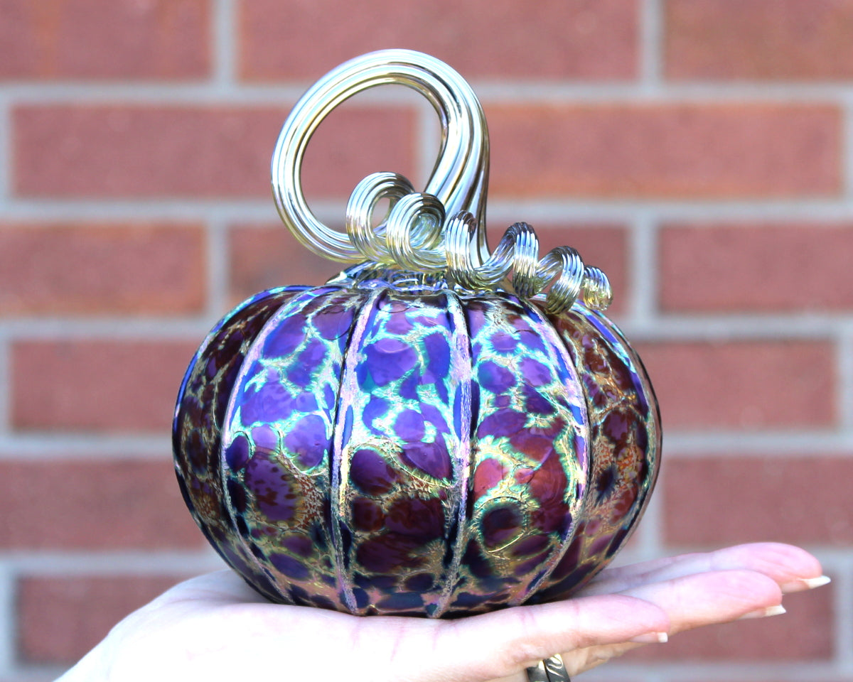 Midnight Pumpkins + Gourds