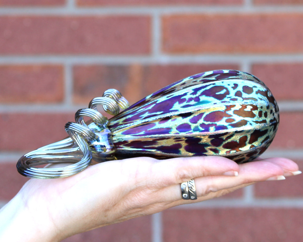 Midnight Pumpkins + Gourds