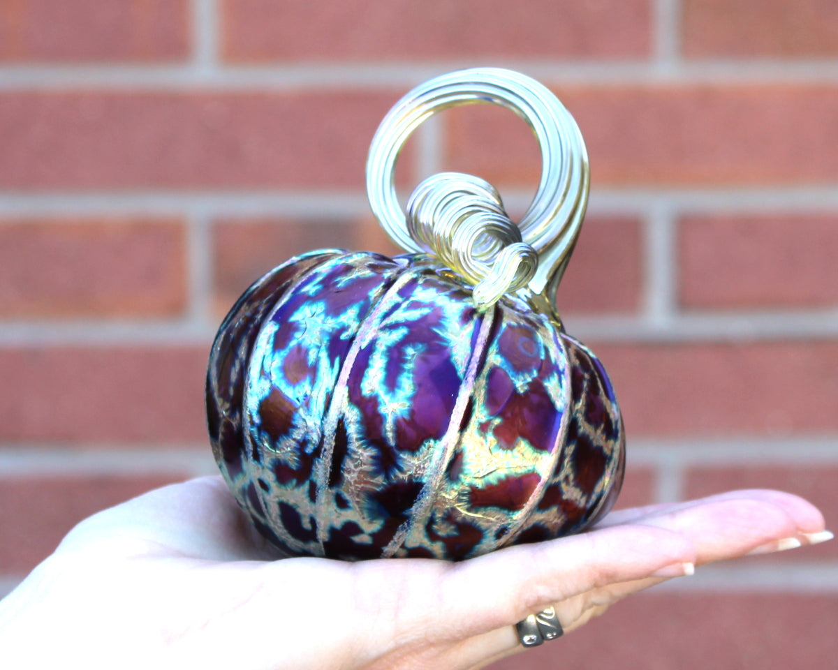 Midnight Pumpkins + Gourds