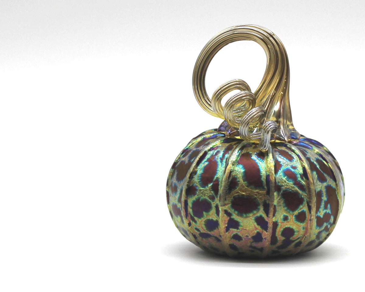 Midnight Pumpkins + Gourds