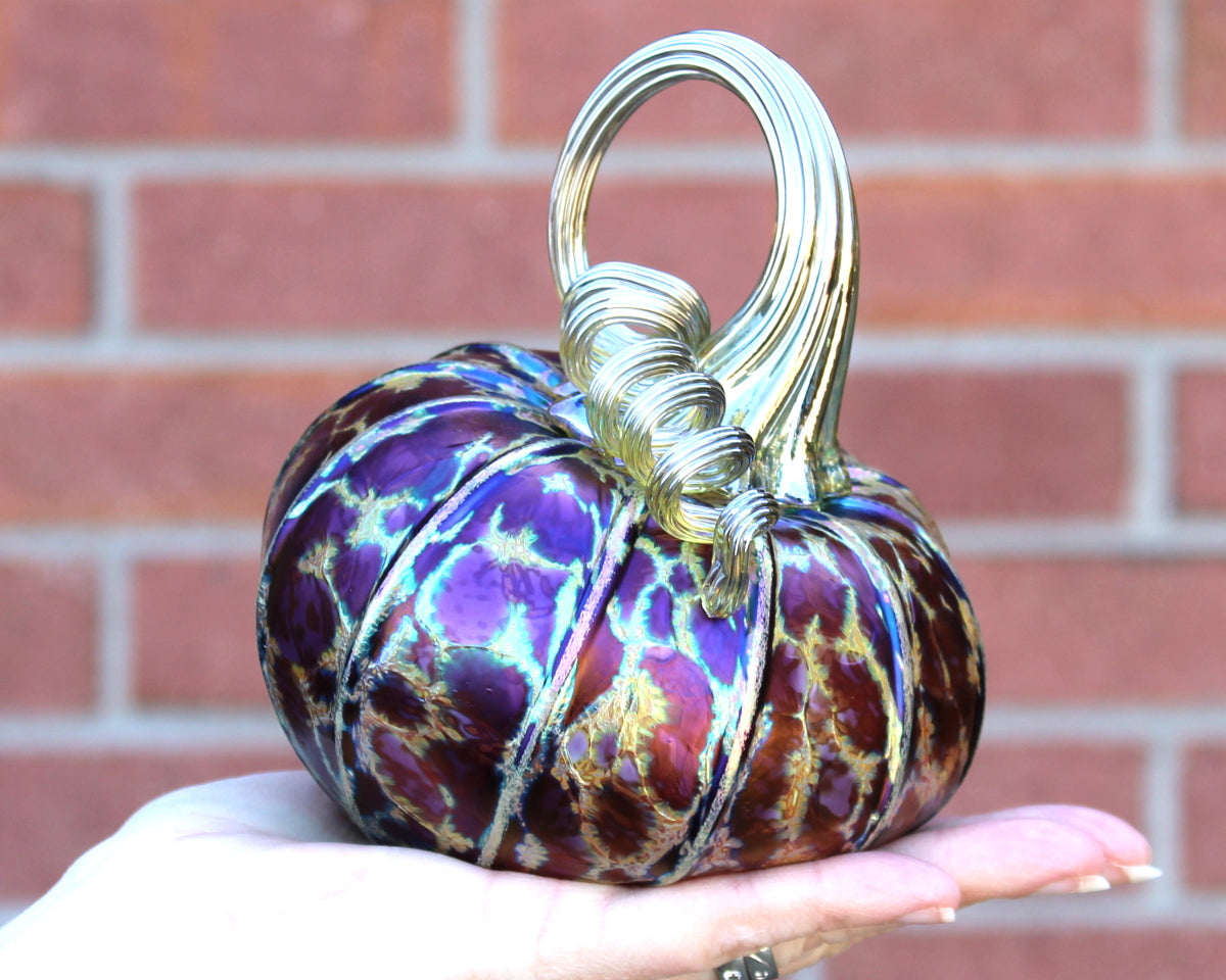 Midnight Pumpkins + Gourds