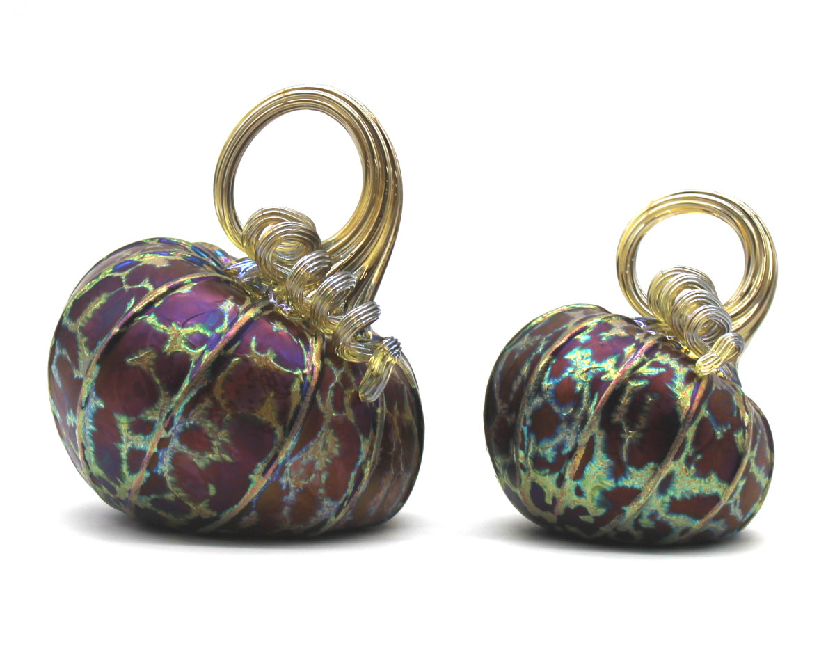 Midnight Pumpkins + Gourds