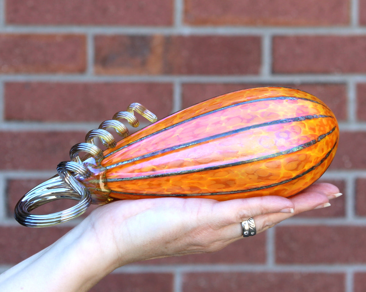 Sungold Yellow Pumpkins + Gourds