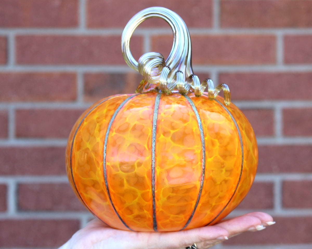 Sungold Yellow Pumpkins + Gourds
