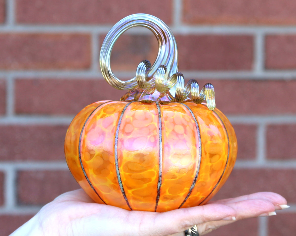Sungold Yellow Pumpkins + Gourds