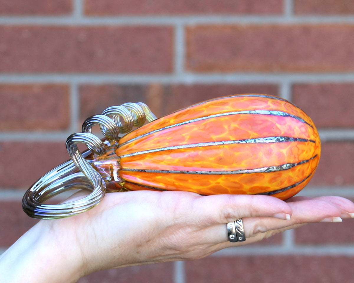 Sungold Yellow Pumpkins + Gourds