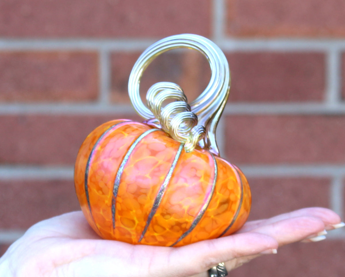 Sungold Yellow Pumpkins + Gourds