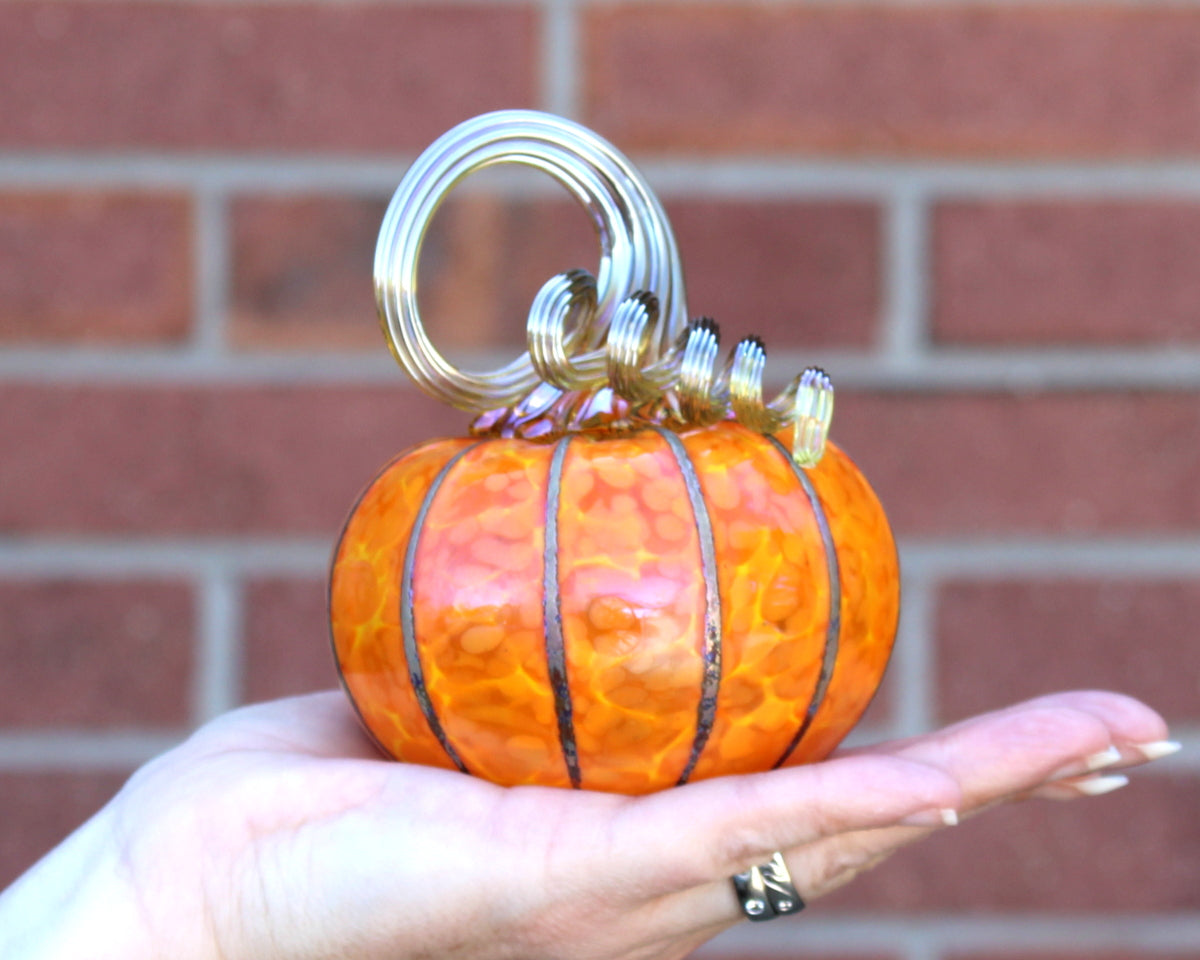 Sungold Yellow Pumpkins + Gourds