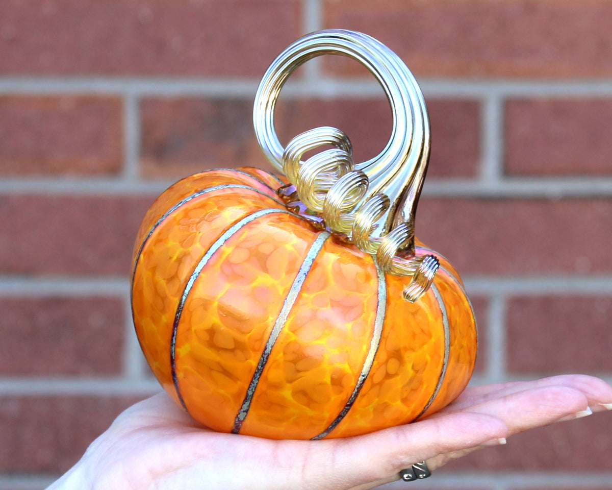 Sungold Yellow Pumpkins + Gourds