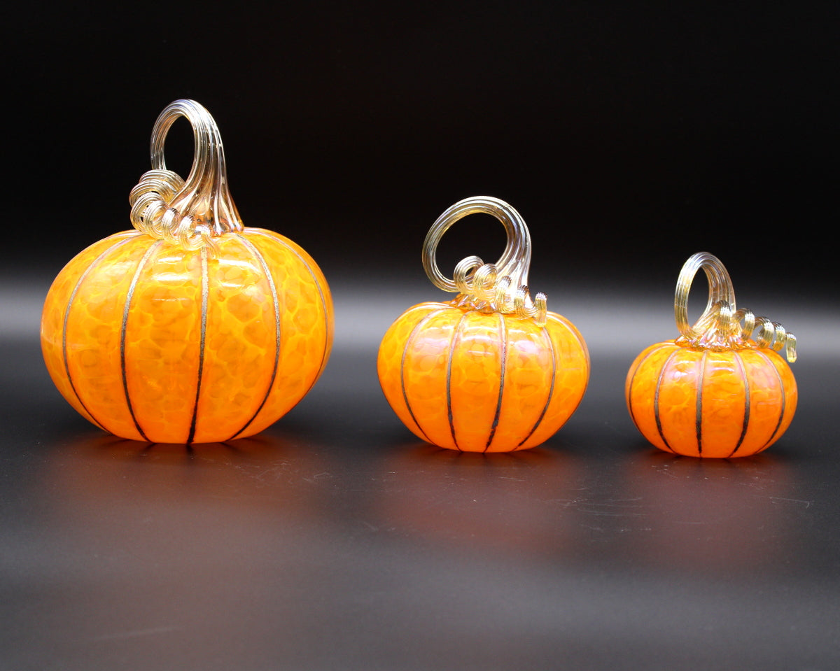 Sungold Yellow Pumpkins + Gourds
