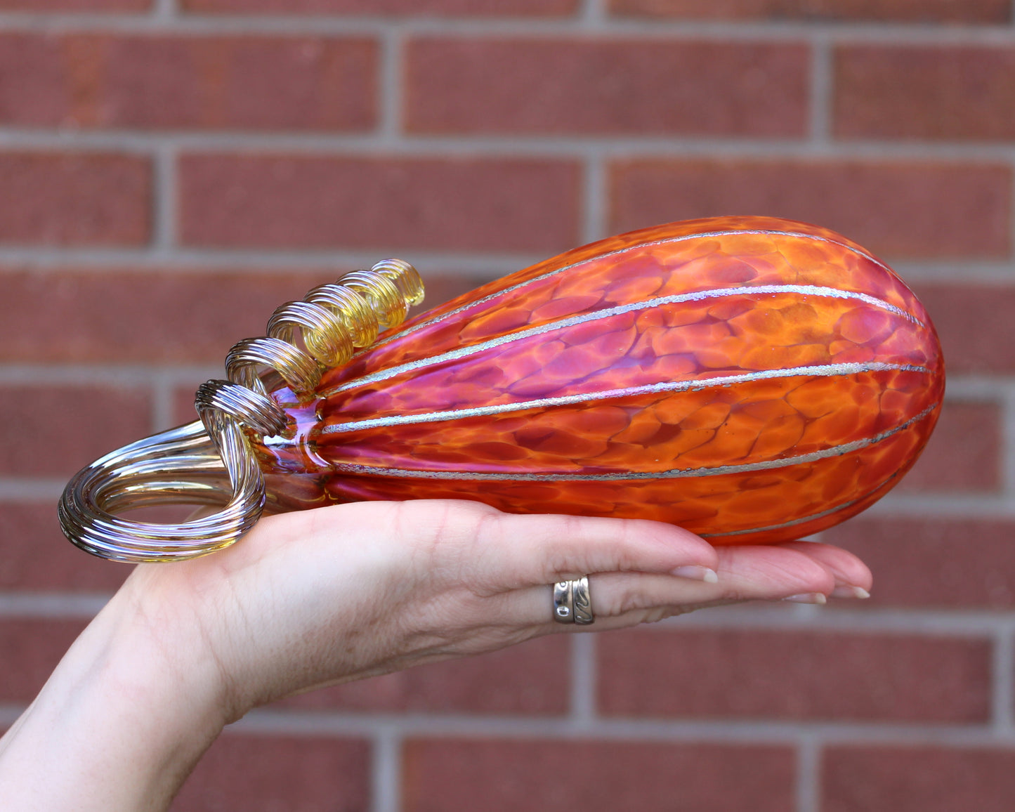 Tangelo Orange Pumpkins + Gourds