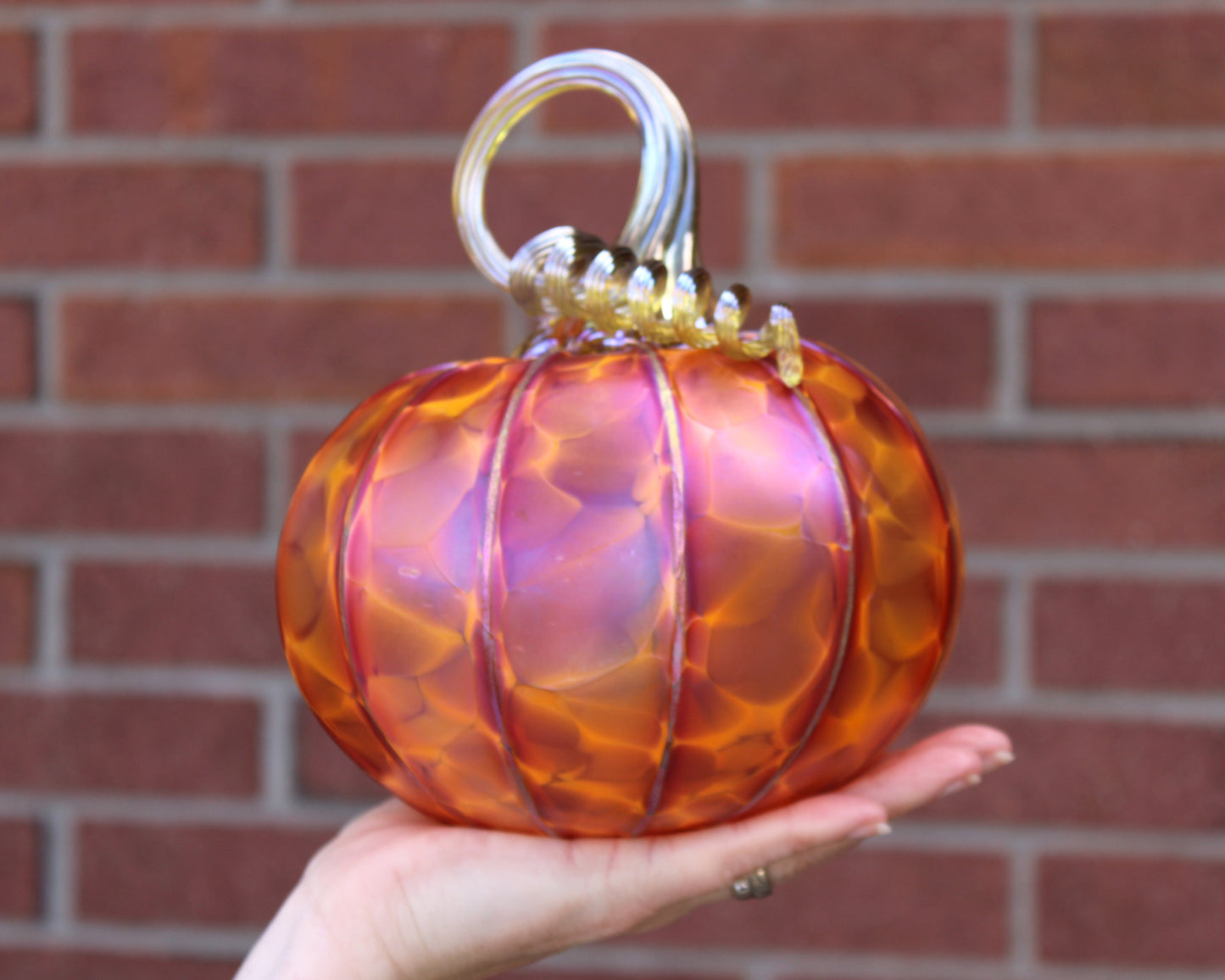 Tangelo Orange Pumpkins + Gourds