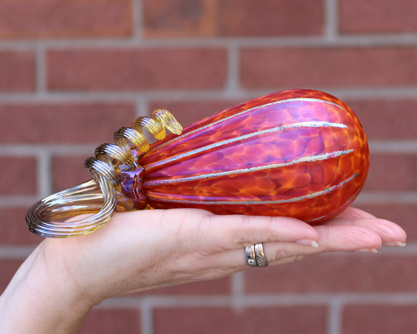 Tangelo Orange Pumpkins + Gourds