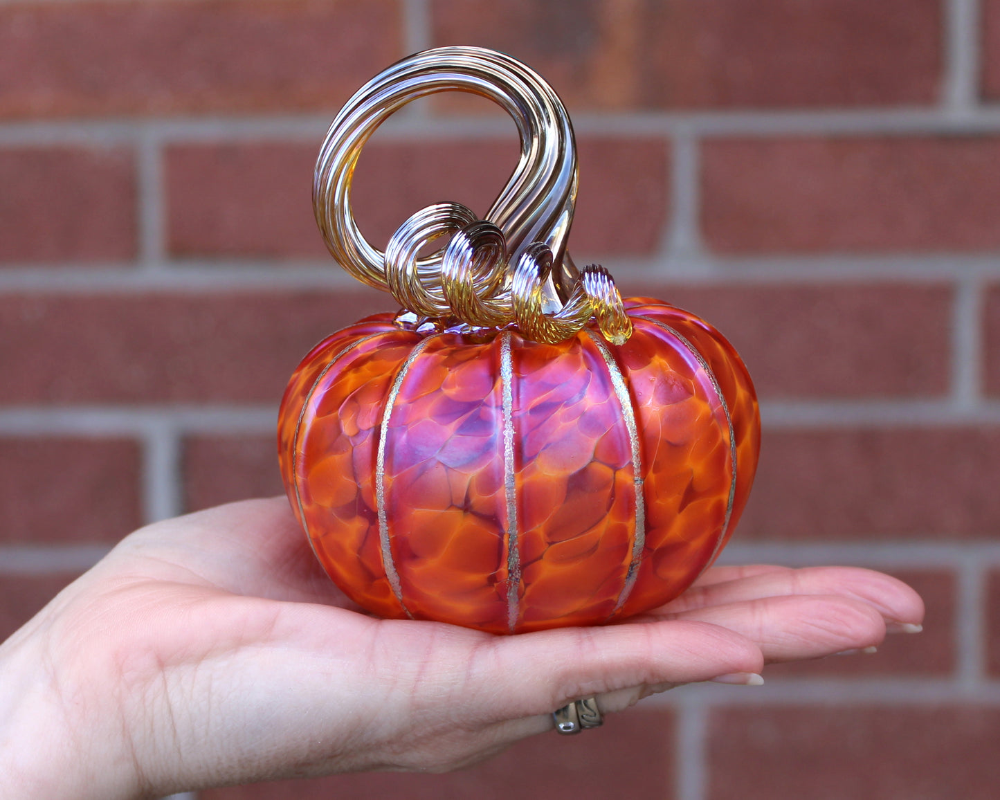 Tangelo Orange Pumpkins + Gourds