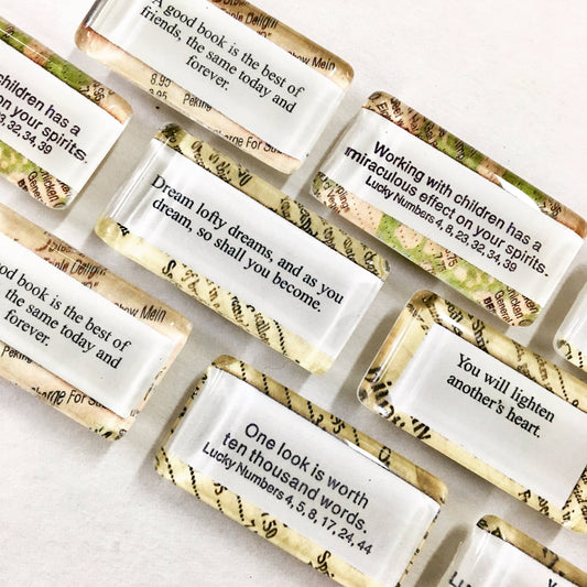 Chinese Fortune Magnet