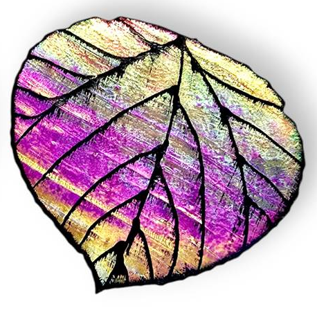 Little Dishes - Artisan Leaf
