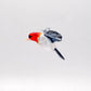 House Finch in Glass