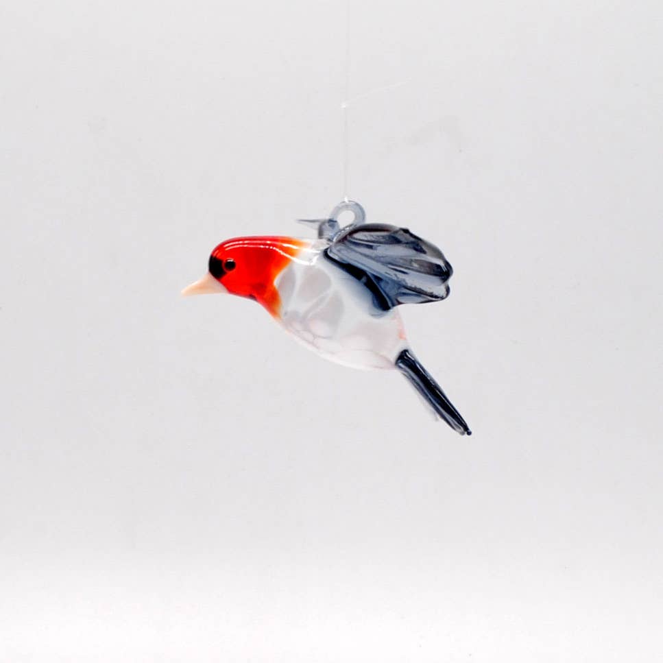 House Finch in Glass
