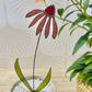 Stained Glass Coneflower/Echinacea Stem