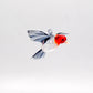 House Finch in Glass