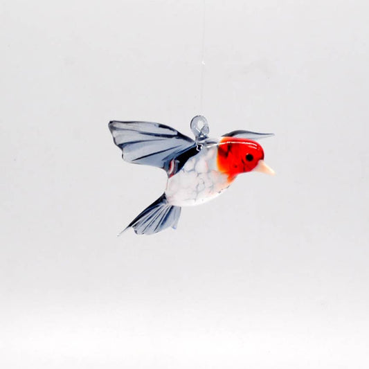 House Finch in Glass