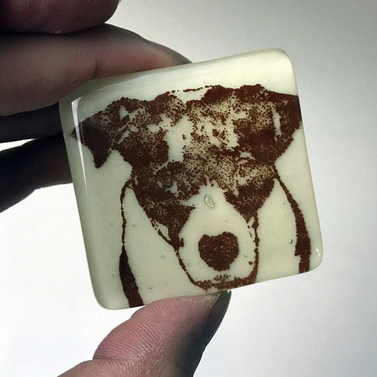 Glass Magnet - Bully Dog