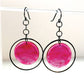 Plato Earrings